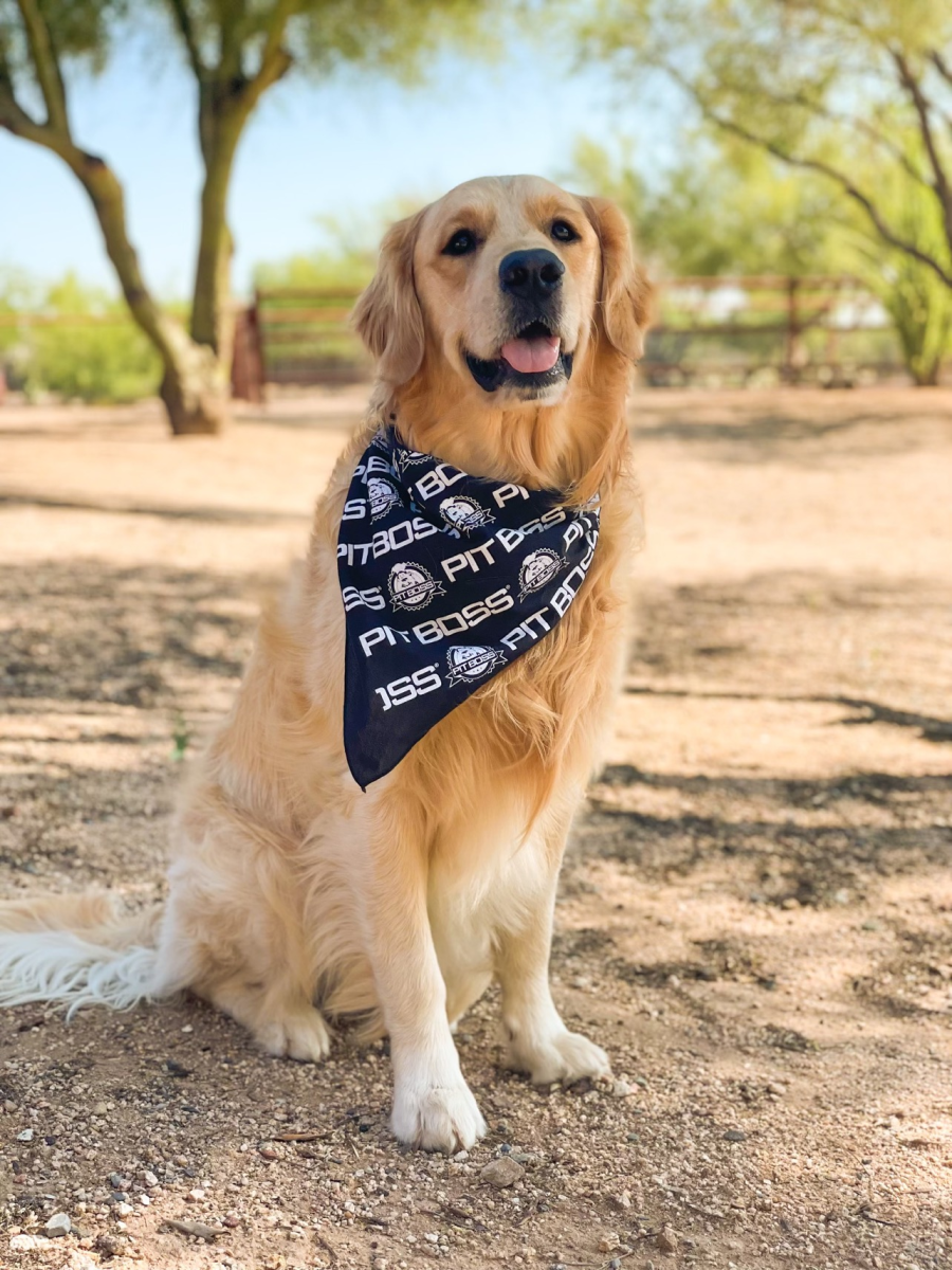 pit-boss-pit-puppies-dog-bandana-bandana-para-perro-en-2-tallas-s-y-l-regalo-par image 2